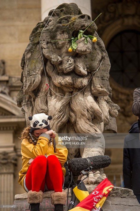 Lion Bourse Fleurs